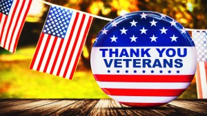 American Veterans,USA Veterans Day,fox valley web design
